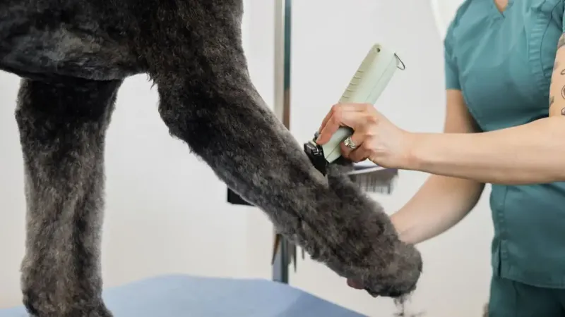WAHL KMC+ Cordless - Obrázok 5